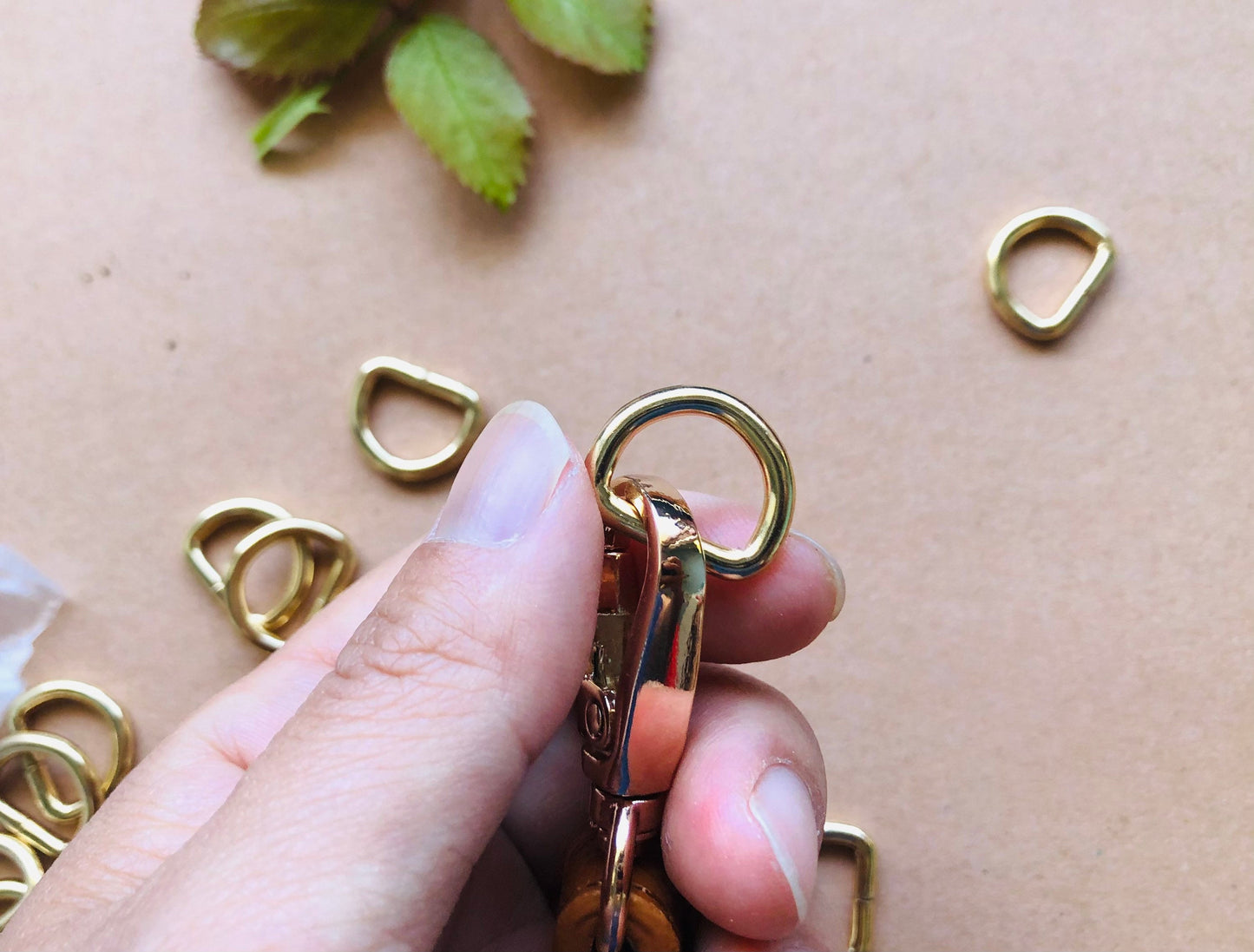 D rings in various colors and sizes