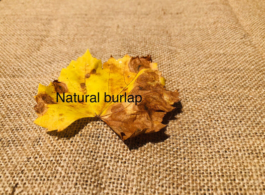 Natural burlap fabric, 100% jute hessian F1