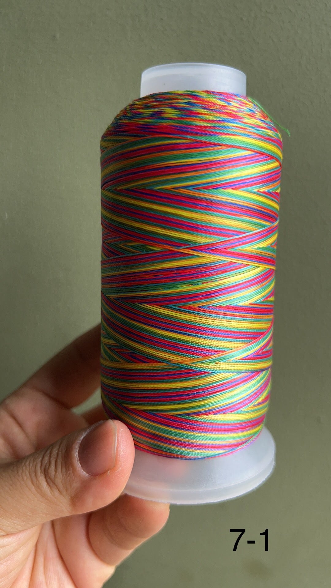 Tex 45, 70, 90 Variegated Polyester sewing Threads C6